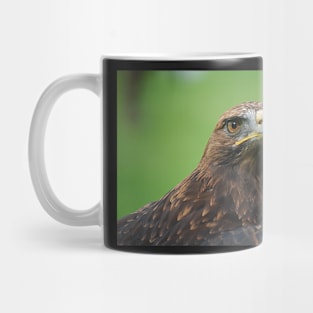 Steppe Eagle Mug